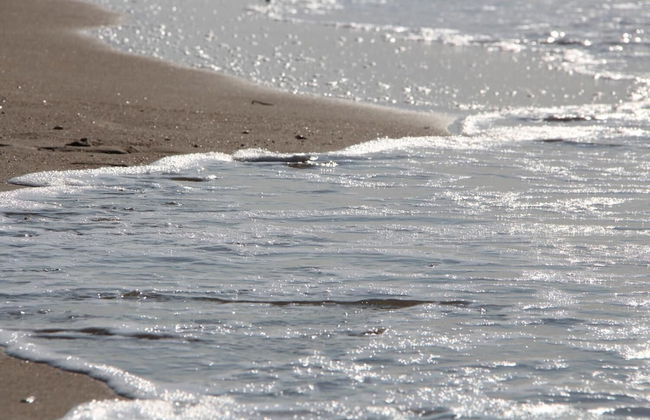 App De Panne - Foto 17