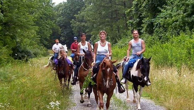 Chevauchez à Bodrum