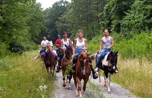 Horseback Riding in Bodrum - Foto 2