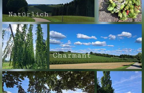 Holledauer Hopfakammerl - Foto 35