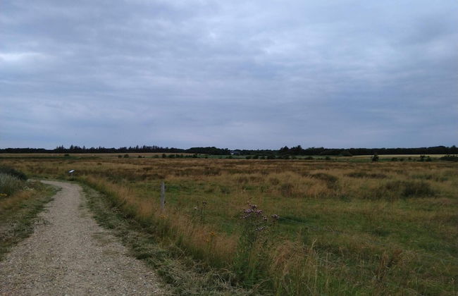 5 Person Holiday Home in Esbjerg V-by Traum - Foto 7