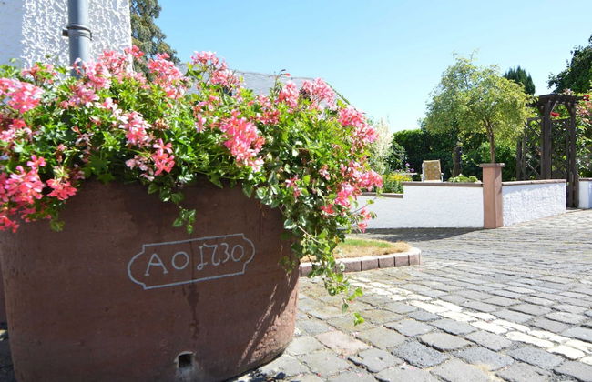 Apartment Welschbilling Near Trails - Foto 22