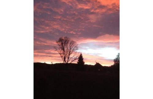 Holiday Apartment Schupp - Foto 59