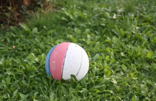 Jawa Organik - Foto 17