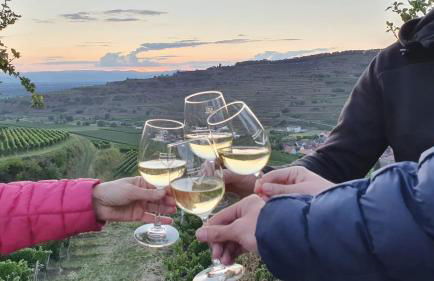 Weingut & Straußwirtschaft Vogel - Foto 61