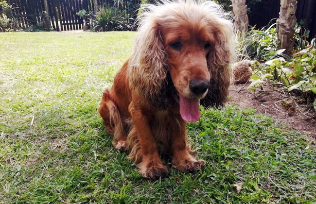 Weavers Nest - Foto 15