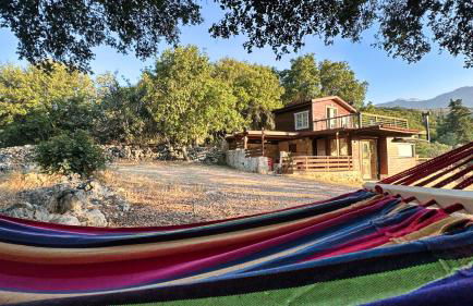 The Root House - Crete Stay - Foto 2