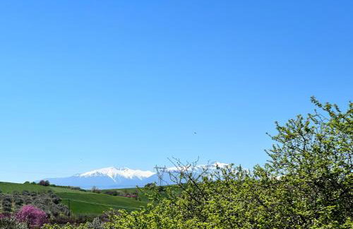 Modern House Ancient Pydna - Foto 16