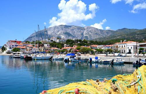 Old Villa Ormos - Photo 29