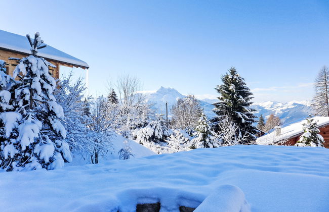 Chalet Petit Pont - Photo 48