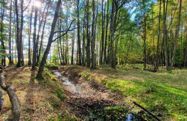 Zaciszne SPA - Foto 13