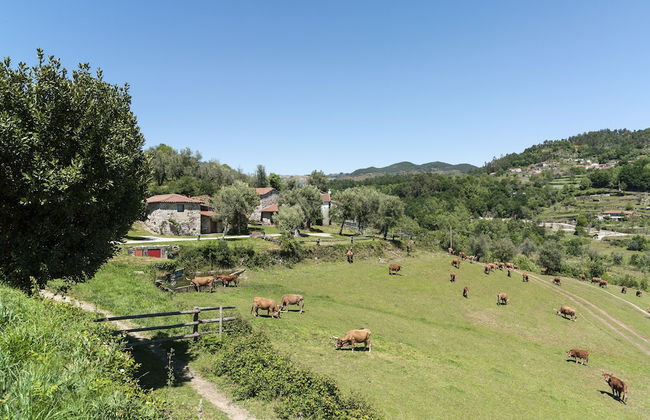 Quinta do Rapozinho - Foto 74