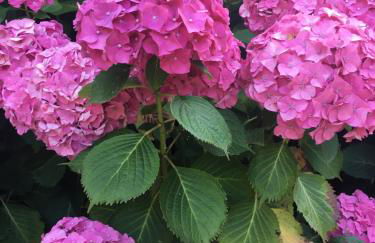 La casita de Olivia Espinaredo - Foto 50