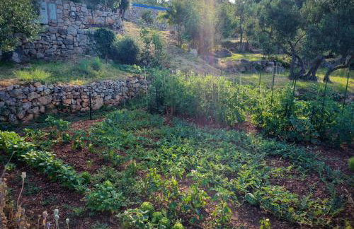 Villa Ella - Foto 31