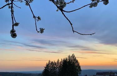 Bachmanns Ferienwohnung 2 - Foto 22