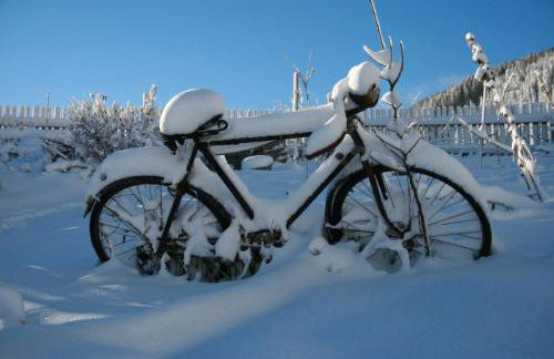 Appartement Sunnleitn - Foto 29