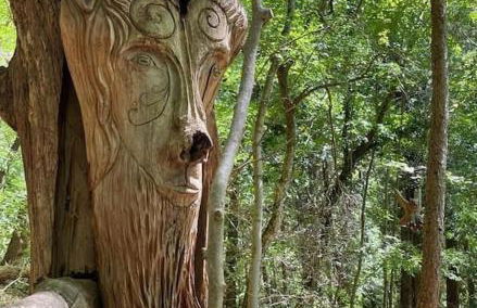 Lake Como Apartment IL NOCE - Foto 39