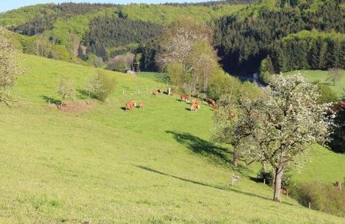 Schwoererhof - Photo 39