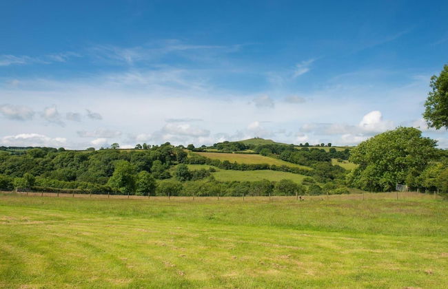 Impeccable 1-bed Cottage on the Edge of Dartmoor - Foto 13