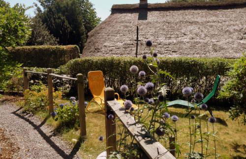 Frieslands Ferienwohnung - Foto 5