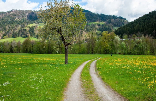 Modern Apartment in Brixen im Thale Near Ski Area - Foto 54