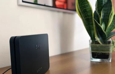 Flat Seriate - Photo 6