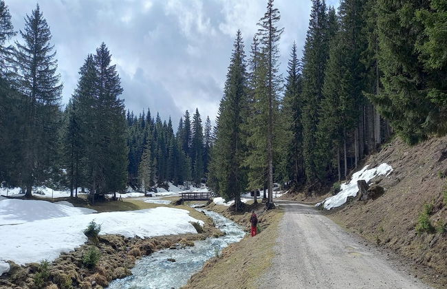 Apartment in Filzmoos Near Ski Amade - Photo 8