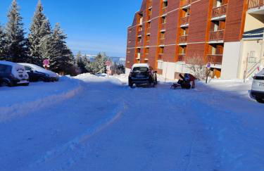 Appartement Edelweiss Chamrousse vue sur Recoin La Croix de Chamrousse Grenoble - Foto 41