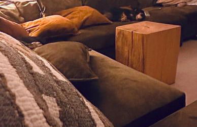 Vila Nogueira De Azeitao - Amaral's Guest Houses - Foto 45