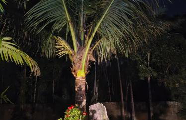 Bèlla Chacara Morretes - Pr - Photo 58