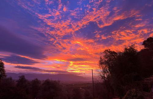 Agriboutique L'Uliveto Magico - Foto 27