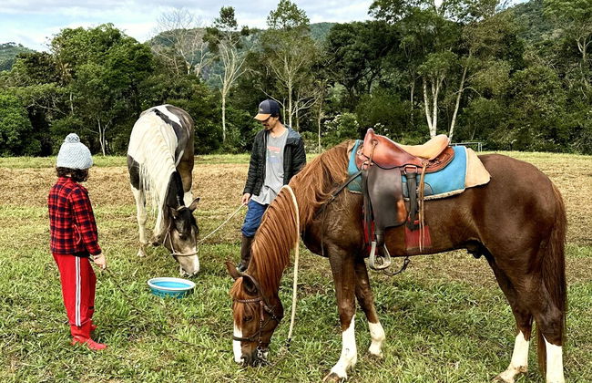 Clareira Cabanas - Photo 24