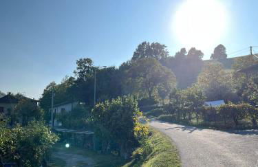 Villa delle Fonti - Villa With Pool - Foto 24