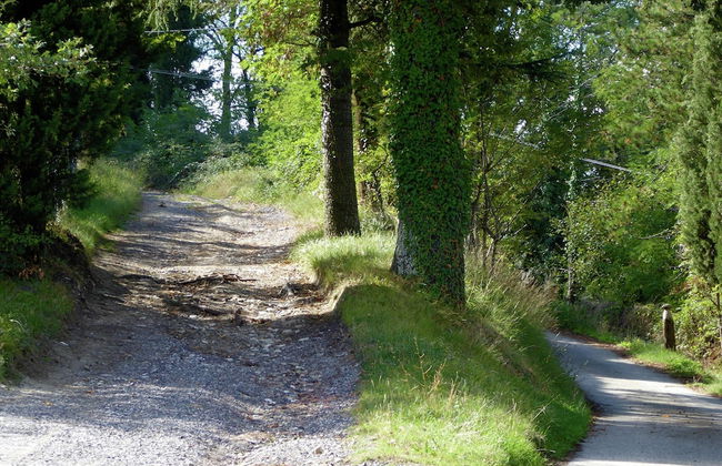 Holiday Home in Montecarelli With Pool - Foto 23