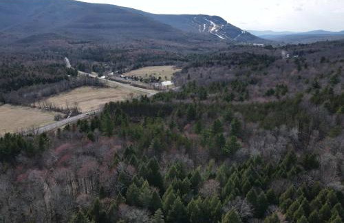 1894 Catskills Farmhouse Retreat - Foto 36