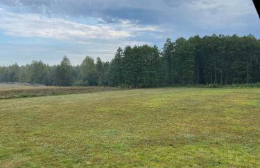 Wiluki Nasz Dom - Foto 24