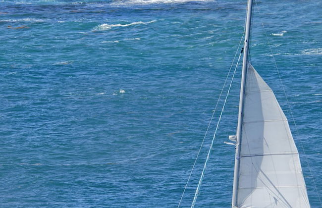 Beach House Younes by Island Properties Online - Foto 23