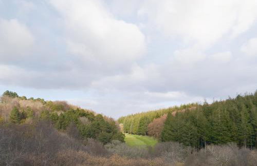 Eagles Nest - Photo 17