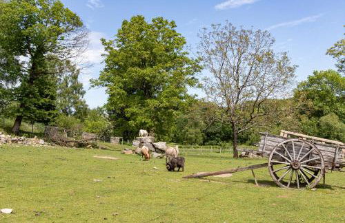 Gîte Jean Scafer, Piscine chauffée, Wifi, Salle de jeux, Animaux de la ferme - Foto 32