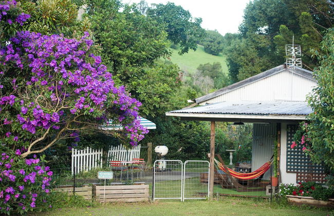 Fig Tree Retro Studio - Foto 27