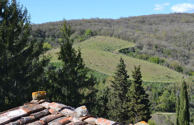 Borgo Castelvecchi - Foto 66