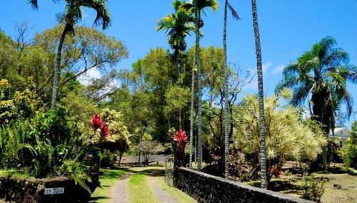 Tropical Jungalow Near the Ocean Cliffs - Foto 4