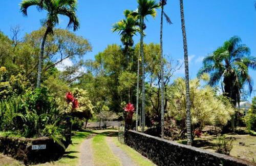 Tropical Jungalow Near the Ocean Cliffs - Foto 4