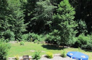 Gîte en bord d'étang et de rivière - Foto 25