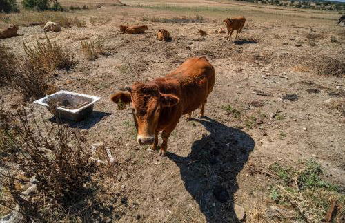 Casa Andrea - Foto 30