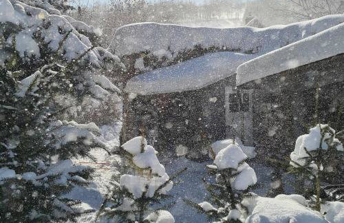 Czereśniowy Dom - Foto 10