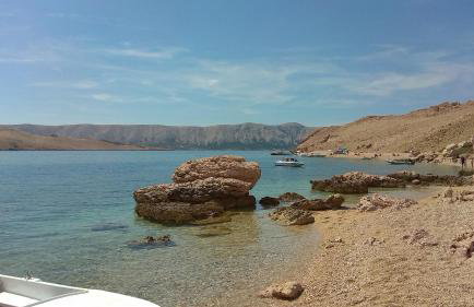 Sunny Bi-Pi Apartment - Photo 1