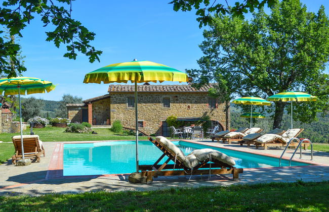 A spasso tra gli ulivi - Foto 1