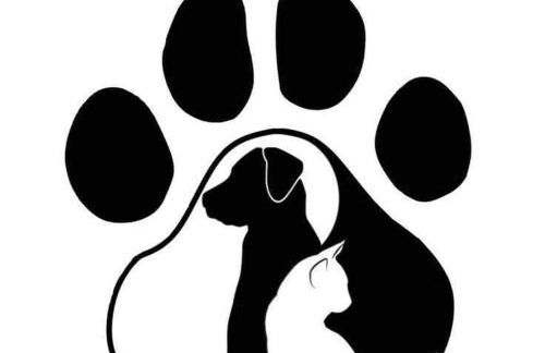 Anguiano Habitaciones rurales con baño privado - Foto 8