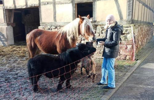 Charmante Ferienwohnung mit Garten in Huddingen - Photo 78